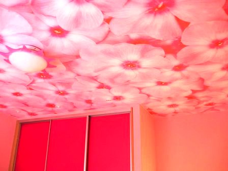 фотообои на потолок