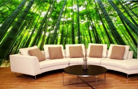 фотообои 3д в интерьере